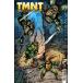 TMNT JOURNEYS #1<B покрытие >