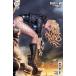BIRDS OF PREY #24<C покрытие >