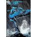NIGHTWING #140<B покрытие >