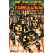 TEENAGE MUTANT NINJA TURTLES #20 300TH ISSUE SPECIAL<B покрытие >