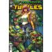 TEENAGE MUTANT NINJA TURTLES #20 300TH ISSUE SPECIAL<D покрытие >