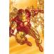 IRON MAN #7< variant покрытие /B>