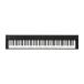 KORG D1 Digital Piano 電子ピアノ