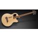Warwick Alien Standard 4 -Natural Transparent High Polish Finish-{ основа }