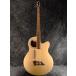 Warwick RockBass Alien Standard 4 -Natural Transparent Satin-{ основа }