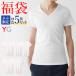 福袋 2024 メンズ ＶネックＴシャツ 同色5枚セット 綿100% GUNZE グンゼ YG