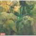  зарубежная запись JOHN MAYALL / BLUES FROM LAUREL CANYON [CD]