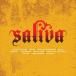͢ SALIVA / ICON [CD]