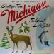 ͢ SUFJAN STEVENS / MICHIGAN [CD]