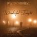 ͢ DAVID OSBORNE / WONDERFUL TONIGHT  SENTIMENTAL PIANO FAVORITES [CD]