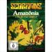 ͢ SCORPIONS / AMAZONIA  LIVE IN THE JUNGLE [DVD]