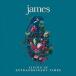 ͢���� JAMES / LIVING IN EXTRAORDINARY TIMES [2LP]