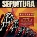 ͢ SEPULTURA / NATION [CD]