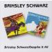 ͢���� BRINSLEY SCHWARZ / BRINSLEY SCHWARZ��DEPITE IT ALL [CD]