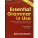 Essential Grammar in Use 4th Edition Book with Answers