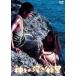 NIKKATSU COLLECTION бог .. глубокий ...[DVD]