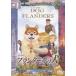  театр версия A Dog of Flanders [DVD]