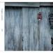  I *eito* You / Surface tension [CD]