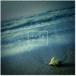 ENTH / Never Let Go [CD]