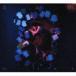 milet / 5amʽBCDDVD [CD]