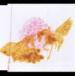 .. Jeury / theory [CD]