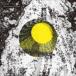 TAAR / DOOR [CD]