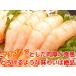 �{�^���G�r �h�g 1kg ���H�p �ڂ��񂦂� ���� �Ⓚ �q���� ���t�� �L�� �k�t�� �C�N ���i �ږ��X �� ���X �����񂹃O���� �֘A�摜2