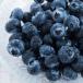  Father's day freezing blueberry 1.2kg cultivation period middle pesticide * chemistry fertilizer un- use Kagoshima prefecture production fruit fruit gourmet gift high capacity special product food direct delivery from producing area 