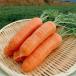 .. блок производство морковь 2kg Кагосима префектура производство человек Gin морковь овощи . данный земля гурман подарок большая вместимость специальный продукт еда пищевые ингредиенты 