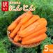 .. блок производство перевод есть морковь 5kg Кагосима префектура производство человек Gin морковь овощи . данный земля гурман подарок большая вместимость специальный продукт еда пищевые ингредиенты 