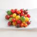  colorful mini tomatoes 1kg domestic production refrigeration flight 