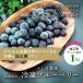  blueberry 1kg processing for domestic production freezing large grain size mixing Akita prefecture production deer angle .. blueberry hand ..