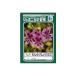 ショウワノートのジャポニカ学習帳　れんらくちょう（ヨコ）　10日横書きです。_OCAHOL_ショウワノートのジャポニカ学習帳　れんらくちょう（ヨコ）　10日横書きです。_OCAHOL_文房具・オフィス・手芸 ＞ 学用品 ＞ 学習帳 ＞ 自由...