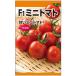 実が鈴なりになる甘いミニトマト_OCAHOL_実が鈴なりになる甘いミニトマト。家庭菜園でも作りやすくて甘い。_OCAHOL_インテリア・家具・収納 ＞ 屋外用品・ガーデニング ＞ ガーデニング・造園用品 ＞ その他 ガーデニング用品