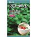 ハッカで有名なスッキリとした香り。_OCAHOL_ハッカで有名なスッキリとした香り。_OCAHOL_インテリア・家具・収納 ＞ 屋外用品・ガーデニング ＞ ガーデニング・造園用品 ＞ その他 ガーデニング用品