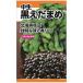 大粒な黒豆　味、香りとも最高_OCAHOL_大粒な黒豆　味、香りとも最高_OCAHOL_インテリア・家具・収納 ＞ 屋外用品・ガーデニング ＞ ガーデニング・造園用品 ＞ その他 ガーデニング用品