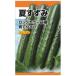 ベト病、うどんこ病に強い曲りが少ない人気種！_OCAHOL_ベト病、うどんこ病に強い曲りが少ない人気種！_OCAHOL_インテリア・家具・収納 ＞ 屋外用品・ガーデニング ＞ ガーデニング・造園用品 ＞ その他 ガーデニング用品