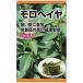 ビタミン・ミネラル豊富なモロヘイヤ_OCAHOL_ビタミン・ミネラル豊富なモロヘイヤ_OCAHOL_インテリア・家具・収納 ＞ 屋外用品・ガーデニング ＞ ガーデニング・造園用品 ＞ その他 ガーデニング用品
