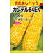 粒皮やわらかく、甘みも強い_OCAHOL_粒皮やわらかく、甘みも強いとうもろこし。草丈は180cm程度。根張りが良く倒伏に強い。_OCAHOL_インテリア・家具・収納 ＞ 屋外用品・ガーデニング ＞ ガーデニング・造園用品 ＞ その他 ガー...