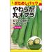 大莢でも柔らかい_OCAHOL_樹勢強く栽培しやすい。たくさん採れる。一般的な五角オクラに比べ大莢になってもやわらかい。_OCAHOL_インテリア・家具・収納 ＞ 屋外用品・ガーデニング ＞ ガーデニング・造園用品 ＞ その他 ガーデニング用品