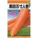 暑さに強くカロテン豊富で栄養価が高い。_OCAHOL_暑さに強くカロテン豊富で栄養価が高い。_OCAHOL_インテリア・家具・収納 ＞ 屋外用品・ガーデニング ＞ ガーデニング・造園用品 ＞ その他 ガーデニング用品
