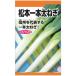 強健で甘味に富む太葱。やわらかい_OCAHOL_強健で甘味に富む太葱。やわらかい_OCAHOL_インテリア・家具・収納 ＞ 屋外用品・ガーデニング ＞ ガーデニング・造園用品 ＞ その他 ガーデニング用品