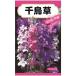 千鳥が飛んでいる姿で、穂状に咲き乱れる_OCAHOL_千鳥が飛んでいる姿で、穂状に咲き乱れる_OCAHOL_インテリア・家具・収納 ＞ 屋外用品・ガーデニング ＞ ガーデニング・造園用品 ＞ その他 ガーデニング用品
