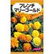 小型のマリーゴールド。防虫に効果的_OCAHOL_小型のマリーゴールド。防虫に効果的。_OCAHOL_インテリア・家具・収納 ＞ 屋外用品・ガーデニング ＞ ガーデニング・造園用品 ＞ その他 ガーデニング用品