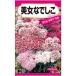 色鮮やかで小輪の混合種_OCAHOL_色鮮やかで小輪の混合種。_OCAHOL_インテリア・家具・収納 ＞ 屋外用品・ガーデニング ＞ ガーデニング・造園用品 ＞ その他 ガーデニング用品