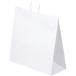 白い紙手提袋です。_OCAHOL_白い紙手提袋です。_OCAHOL_文房具・オフィス・手芸 ＞ 工作用紙・袋・ラッピング ＞ 紙袋・レジ袋・ギフトバッグ ＞ 手提げ袋（紐タイプ）