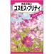 背丈が低くかわいらしい矮性コスモス_OCAHOL_背丈が低くかわいらしい矮性コスモス_OCAHOL_インテリア・家具・収納 ＞ 屋外用品・ガーデニング ＞ ガーデニング・造園用品 ＞ その他 ガーデニング用品