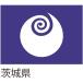 全国47都道府県の旗。_OCAHOL_都道府県の旗です。取り扱いやすいサイズの135×90cm。社旗や国旗など屋外で使用される旗に最もよく使われるツイルを使用。掲揚ポールや旗竿への取付も容易なハトメ加工と四方三つ折り加工で継続的な掲揚にも十...