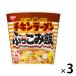 日清食品 チキンラーメン ぶっこみ飯 1セット（3個）