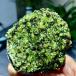 202G ŷӥɸ ϴХڥɥåȥ֥åʪ 202G Natural Olivine Rock Specimen Deposits On Lava Stone Peridot Black